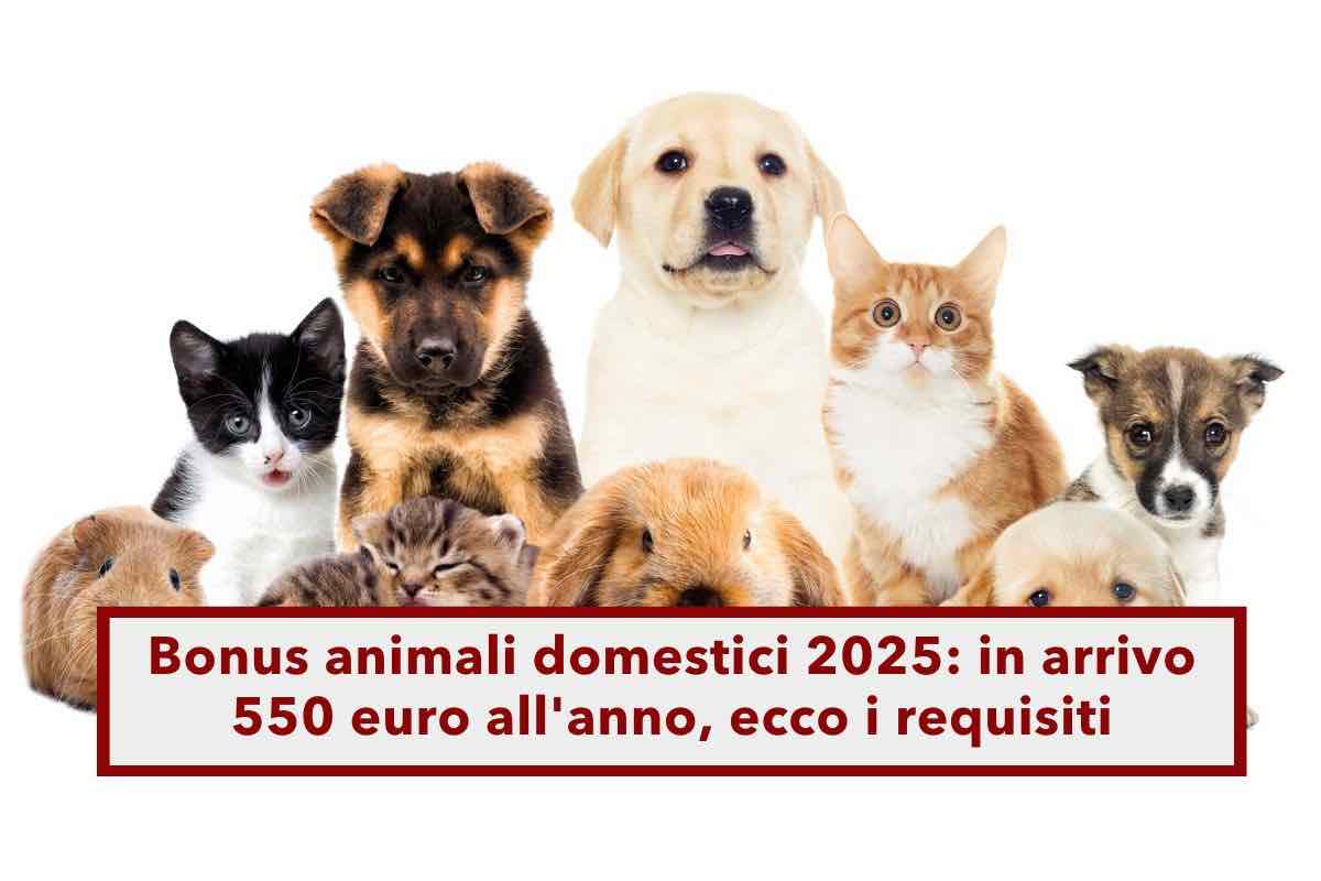 Bonus animali domestici 2025, in arrivo 550 euro all'anno: ecco i requisiti e la lista degli animali ammessi