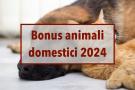 Bonus animali domestici 2024, nuovi contributi in arrivo: ecco quali spese sono incluse e chi può accedervi