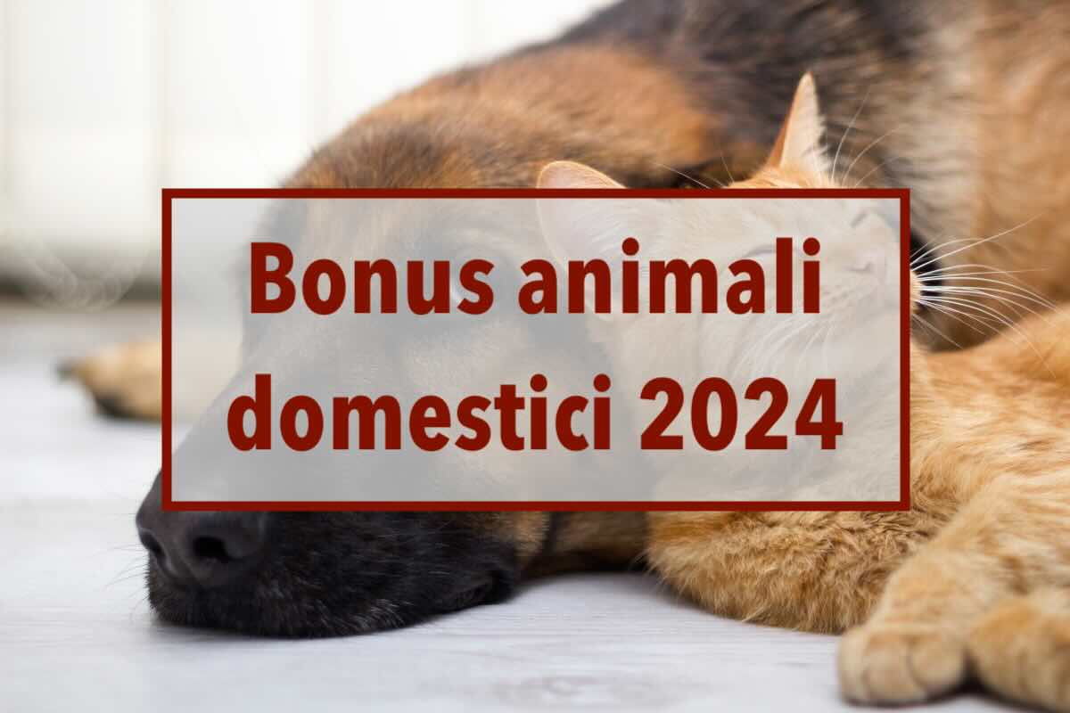 Bonus animali domestici 2024, nuovi contributi in arrivo: ecco quali spese sono incluse e chi pu accedervi
