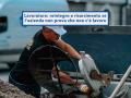 Lavoratore, ora puoi riavere il tuo posto e 12 mensilit� se l'azienda ti licenzia per mancanza di lavoro senza provarlo