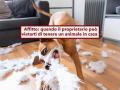 Casa in affitto, il proprietario pu vietarti di tenere animali domestici: ecco la nuova sentenza