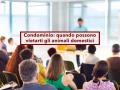Condominio, possono vietarti animali domestici se era scritto sul regolamento contrattuale all'acquisto: nuova sentenza