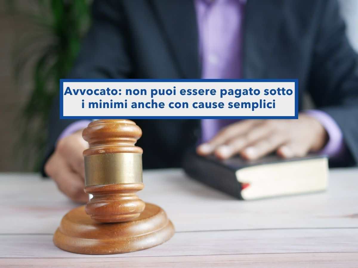Avvocato, non puoi essere pagato sotto i minimi anche se la causa � semplice o seriale: nuova ordinanza