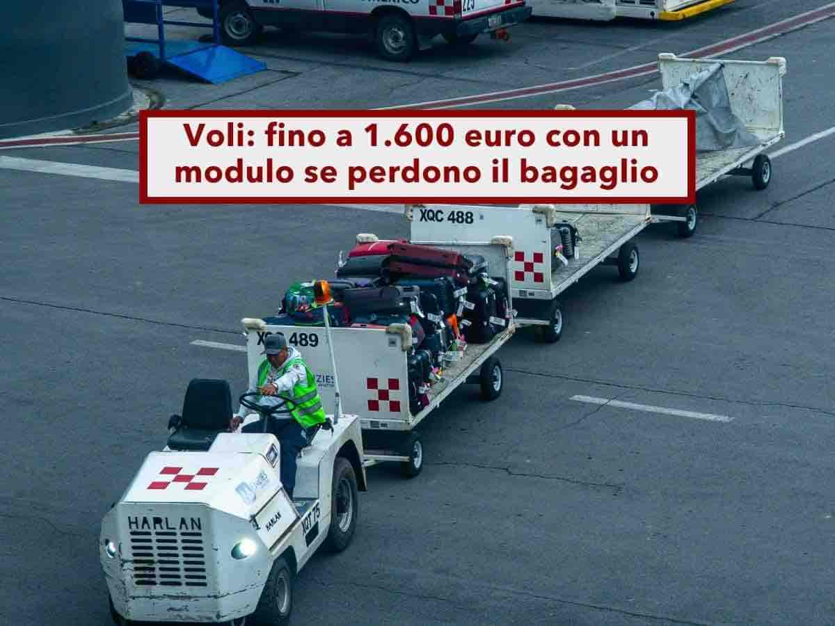 Voli, ora ti spettano fino a 1.600 euro se perdono il tuo bagaglio, basta il modulo in aeroporto: nuova ordinanza