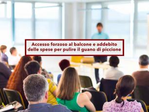 Condominio, possono accedere forzatamente sul tuo balcone per pulire il guano di piccione e paghi le spese: nuova sentenza