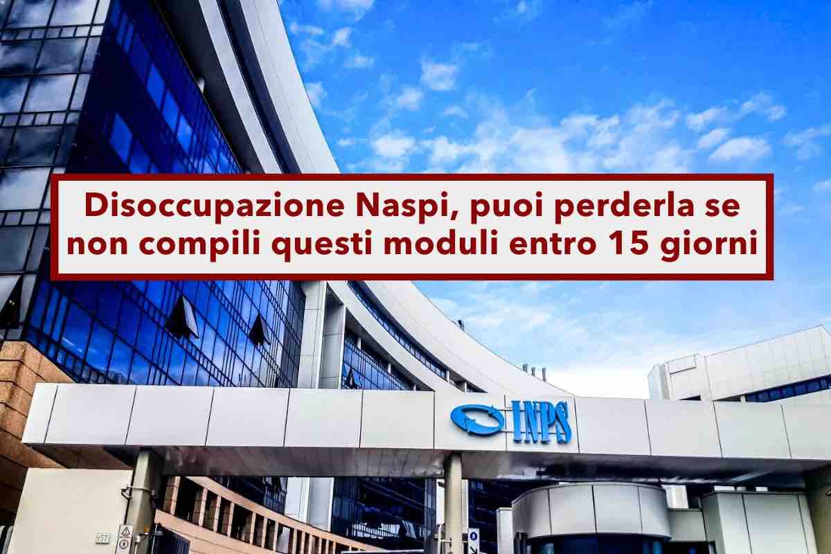 Disoccupazione Naspi, puoi perderla se non compili questi moduli entro 15 giorni: ecco le regole per i nuovi disoccupati