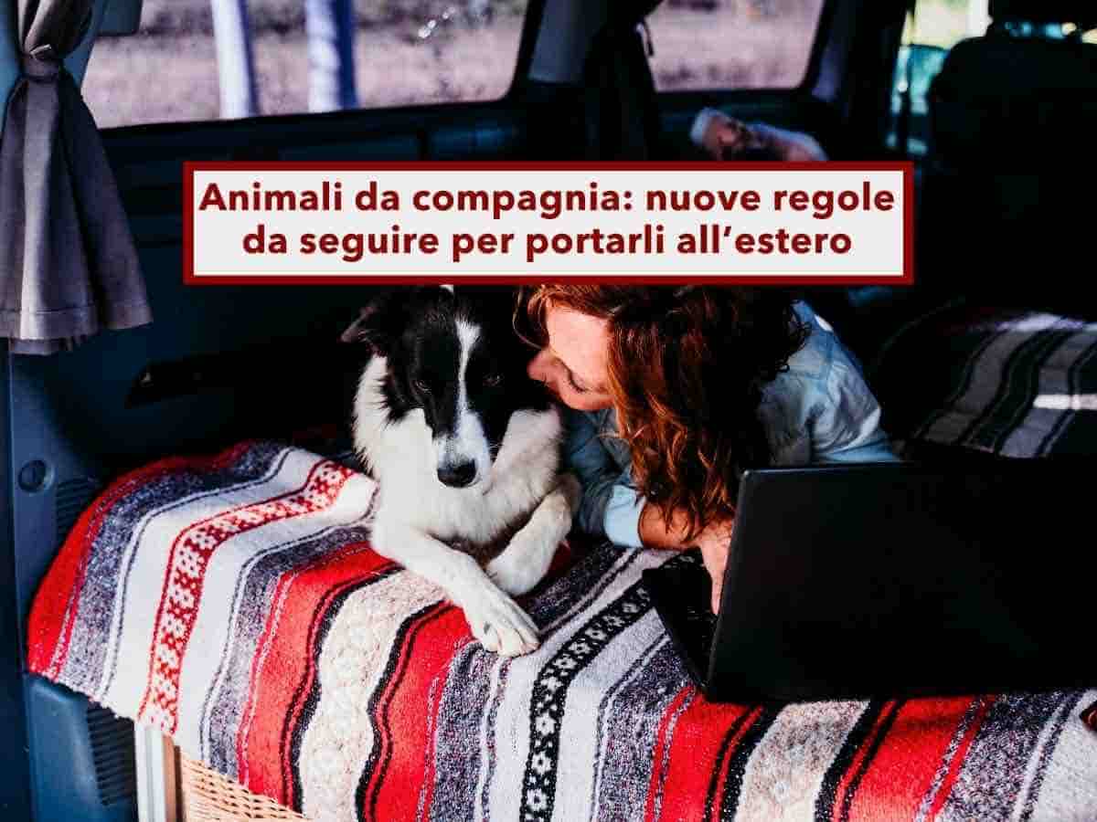 Animali da compagnia, da oggi li bloccano e non li fanno partire senza passaporto e vaccino: nuove regole UE