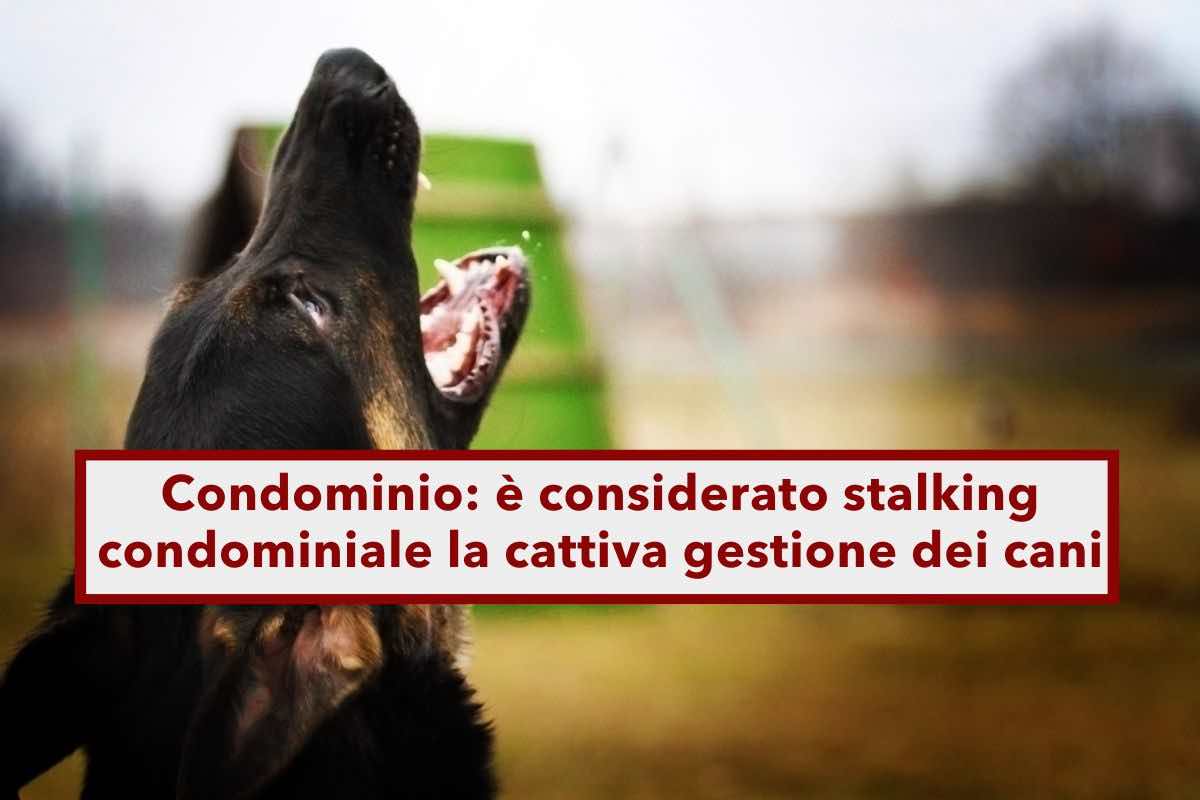 Condominio, cani che disturbano i vicini, i padroni rischiano una denuncia per stalking condominiale: la sentenza