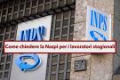 Lavoratori stagionali e Naspi, ecco a chi spetta la disoccupazione a fine contratto e come fare la domanda: i requisiti