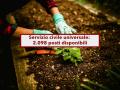 Torna il Servizio Civile, 519 euro al mese e ingresso facilitato nei concorsi pubblici: ecco come fare domanda e scadenze