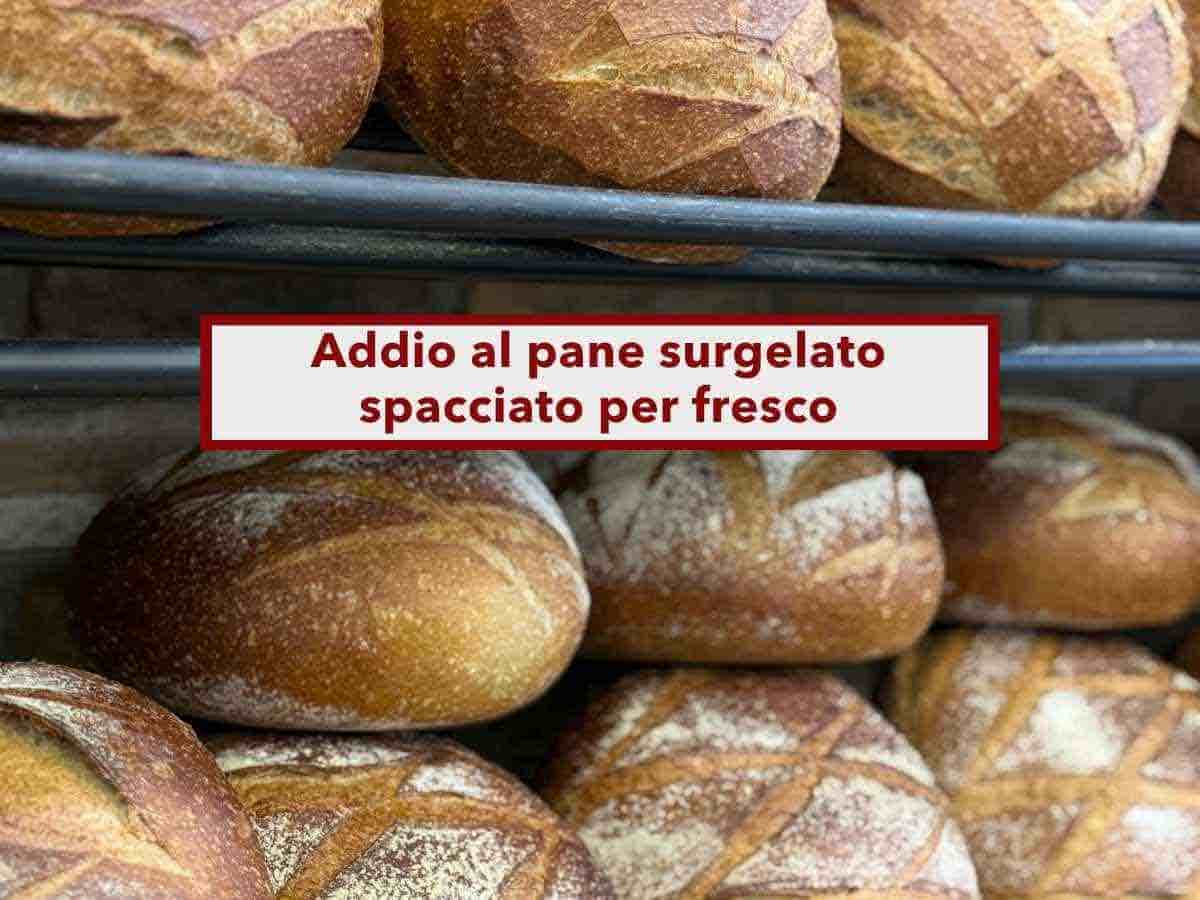 Addio al pane surgelato spacciato per fresco, in arrivo la regola delle 24 ore e scaffali separati: ecco come funziona