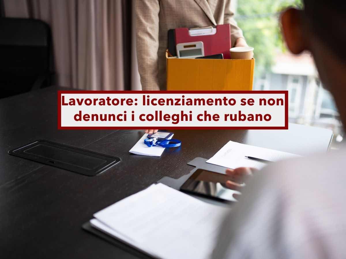Lavoratore, rischi il licenziamento se non denunci i colleghi che rubano in azienda: nuova sentenza di Cassazione