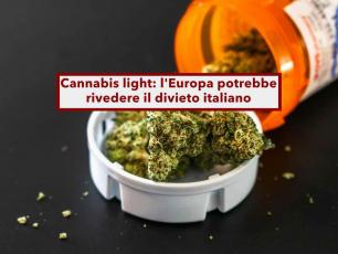Cannabis light, novit in arrivo, il Consiglio di Stato ferma tutto, ora decide l'Europa: pu saltare il divieto italiano