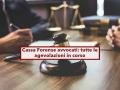 Avvocati, 2000 euro per ogni figlio dalla Cassa Forense, prestiti agevolati e finanziamento computer: ecco i nuovi bandi