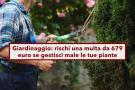 Giardinaggio, rischi una multa da 679 euro se curi male le piante del tuo giardino: ecco perch e come evitare sanzioni