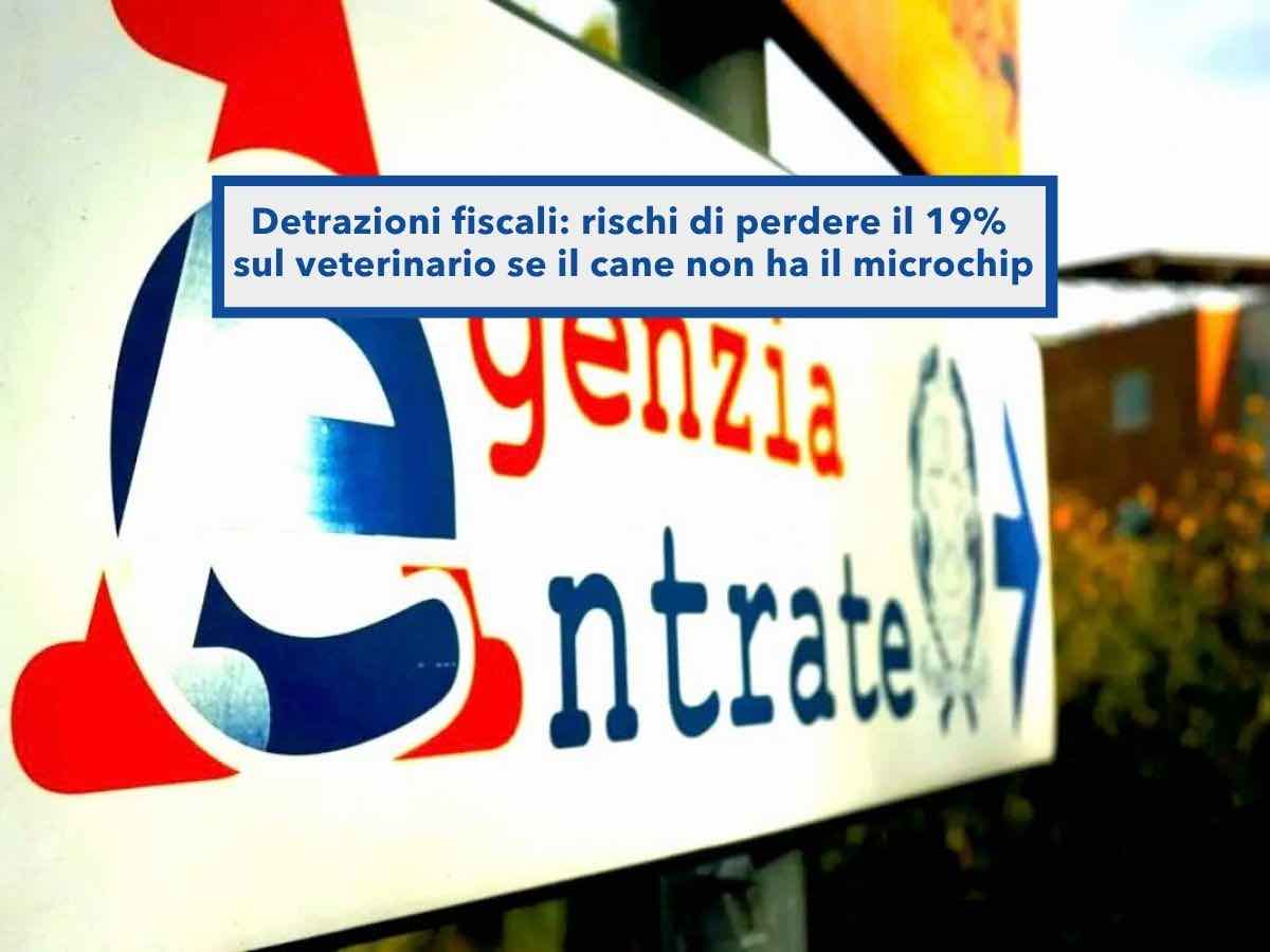 Detrazioni fiscali 2026, rischi di perdere lo sconto delle spese veterinarie anche se conservi tutte le ricevute