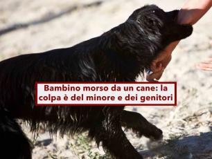 Bambino morso da un cane, la colpa  del minore e dei genitori, non del padrone, ecco perch: nuova sentenza Cassazione