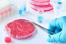 Legge carne sintetica, il Governo la vieta e l'Europa ce la ripropone in tavola