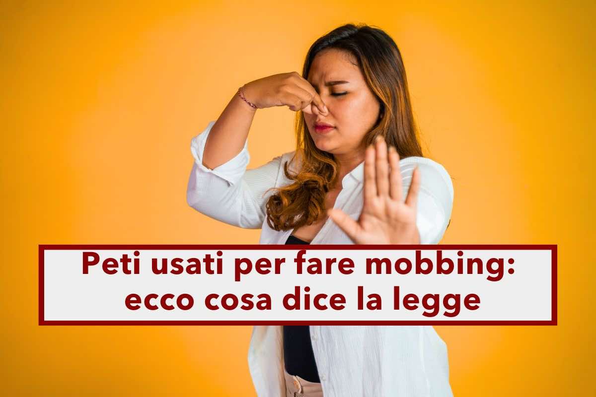 Peti sul posto di lavoro, possono diventare un'arma di mobbing: ecco la curiosa denuncia e cosa dice la legge a riguardo