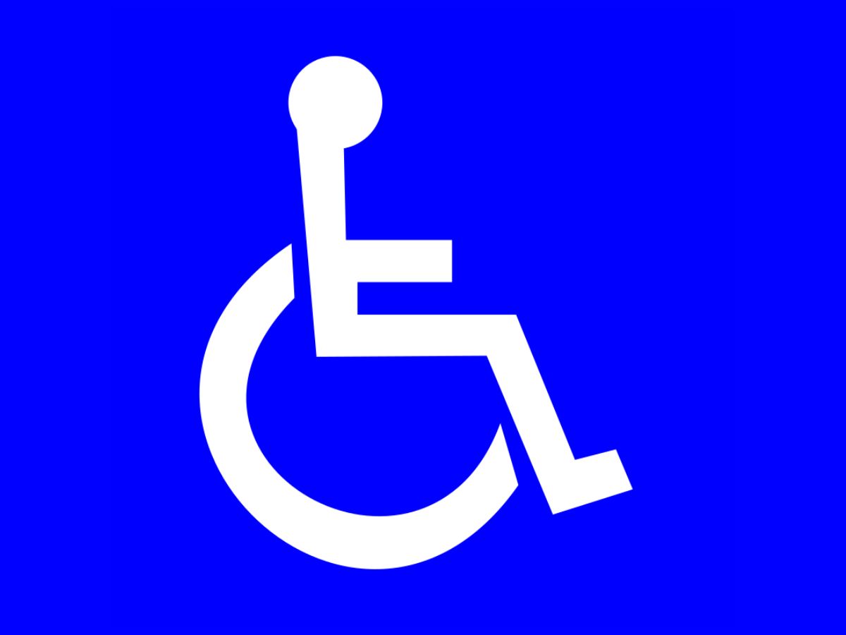 Disabili, ecco dove  possibile entrare gratis in Italia, elenco completo ed aggiornato: come avere la disability card