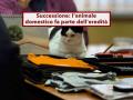 Successione, fanno parte dell'eredit� anche il cane e il gatto: ecco chi deve occuparsene e come dividere le spese