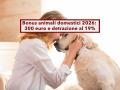 Bonus animali domestici 2026, fino a 300 euro di rimborso e detrazione al 19%: ecco i requisiti e come ottenerli