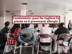 Condominio, ora puoi far tagliare le piante che ti danno allergia senza l'assemblea, ma non abbatterle: ecco cosa fare