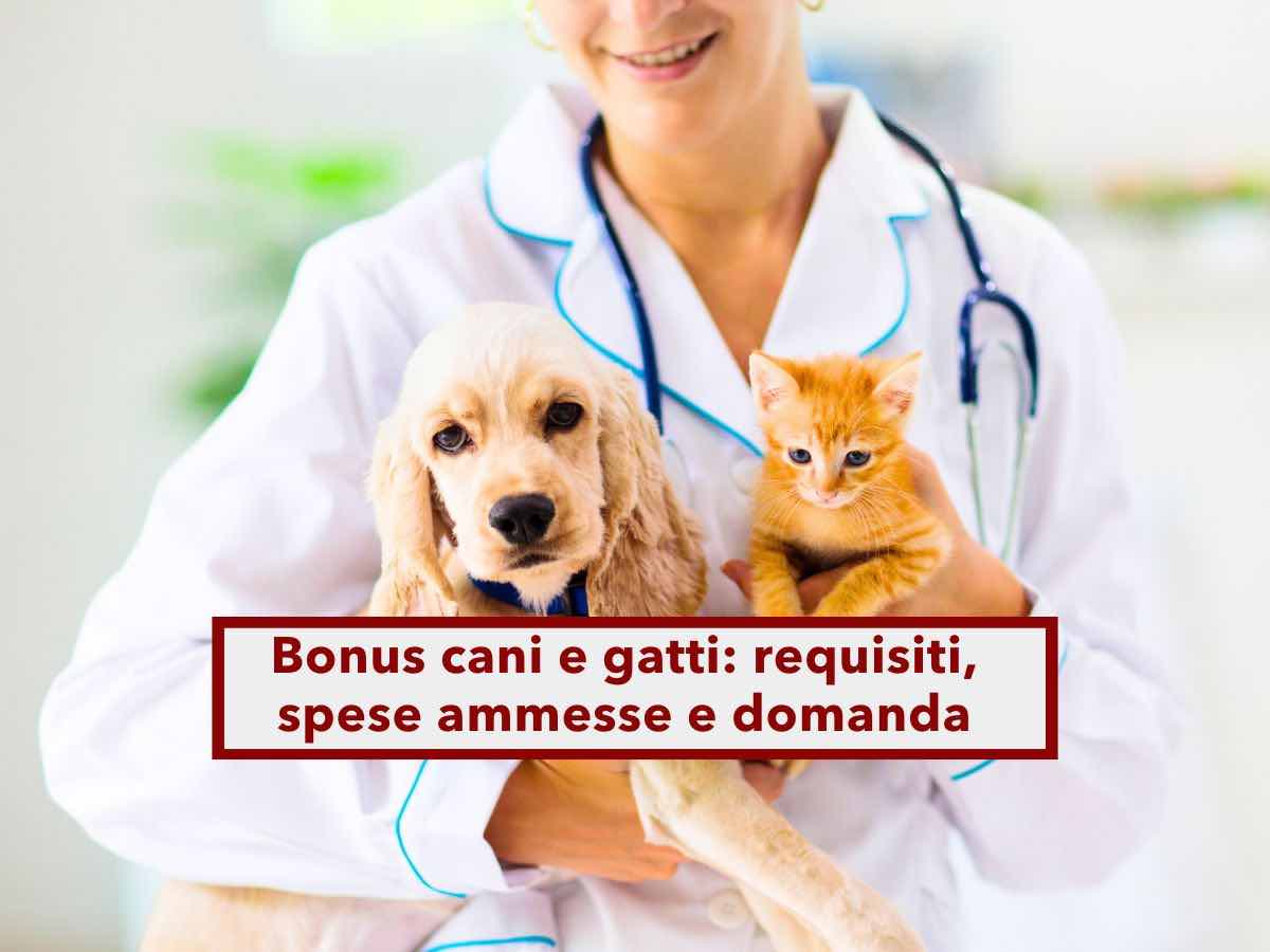 Bonus cani e gatti 2025, sbloccato il fondo per i tuoi animali: ecco i requisiti, le spese ammesse e come richiederlo