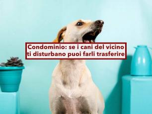 Condominio, se il cane del vicino ti disturba puoi chiedere al giudice di ordinare l'allontanamento: nuova sentenza