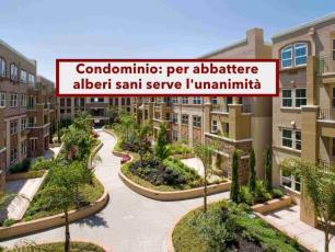 Condominio, per abbattere alberi sani serve anche il tuo voto, non basta la maggioranza serve l'unanimit�: nuova sentenza
